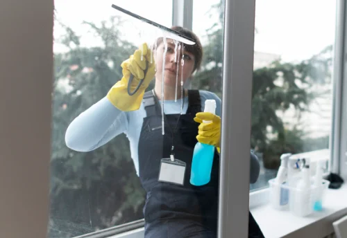 Nettoyage de vitres intérieures et extérieures à Palasca